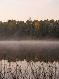 Scenic view of lake by trees against sky