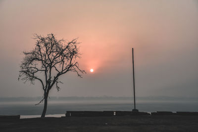 Silhouette tree by sea against sky during sunset