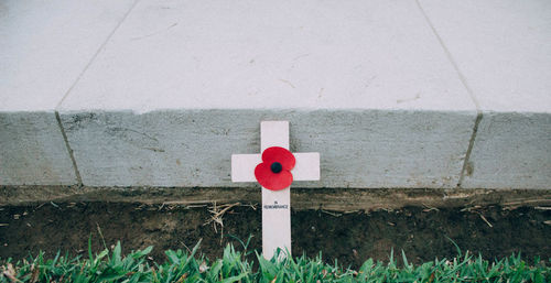 Red cross on field against wall