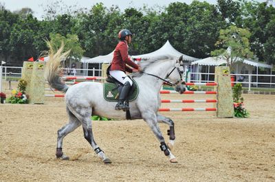 Man riding horse