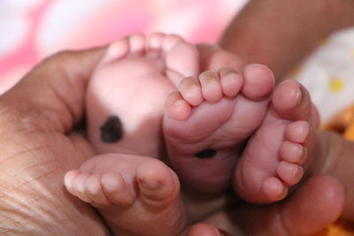 Close-up of baby hands