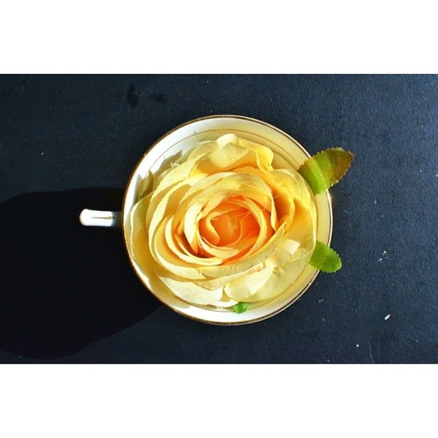 freshness, transfer print, flower, rose - flower, food and drink, indoors, close-up, auto post production filter, petal, flower head, still life, table, high angle view, food, rose, fragility, sweet food, studio shot, dessert, single flower