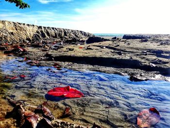Surface level of rocks in sea against sky