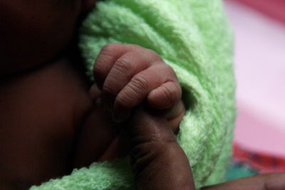 Cropped image of parent holding baby hand