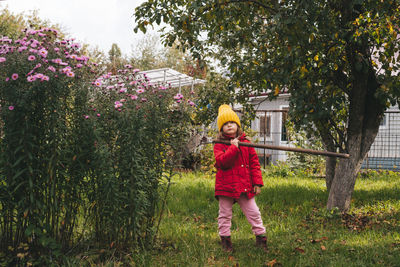 Girl in a red jacket and a yellow hat with a rake in the backyard. seasonal garden work. 