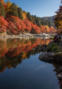 Reflection of trees in lake