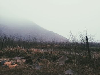 Scenic view of landscape in foggy weather