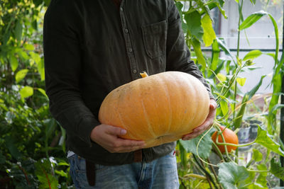 Midsection of man holding pumpkin