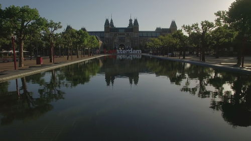 Reflection of trees in water