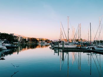 Sailboats moored in harbor at sunset