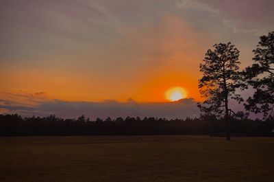 Silhouette trees on field against orange sky