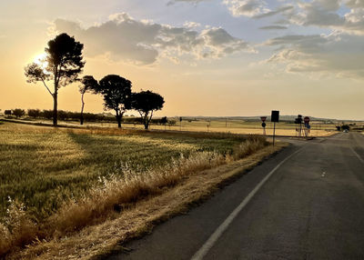 Road by trees on field against sky at sunset