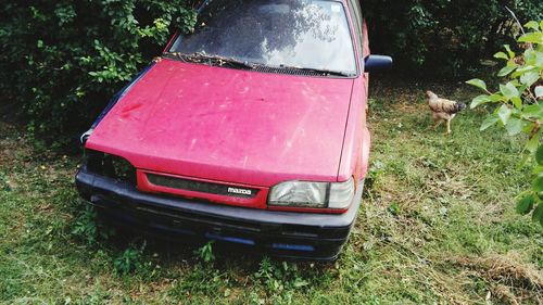 Abandoned car on field