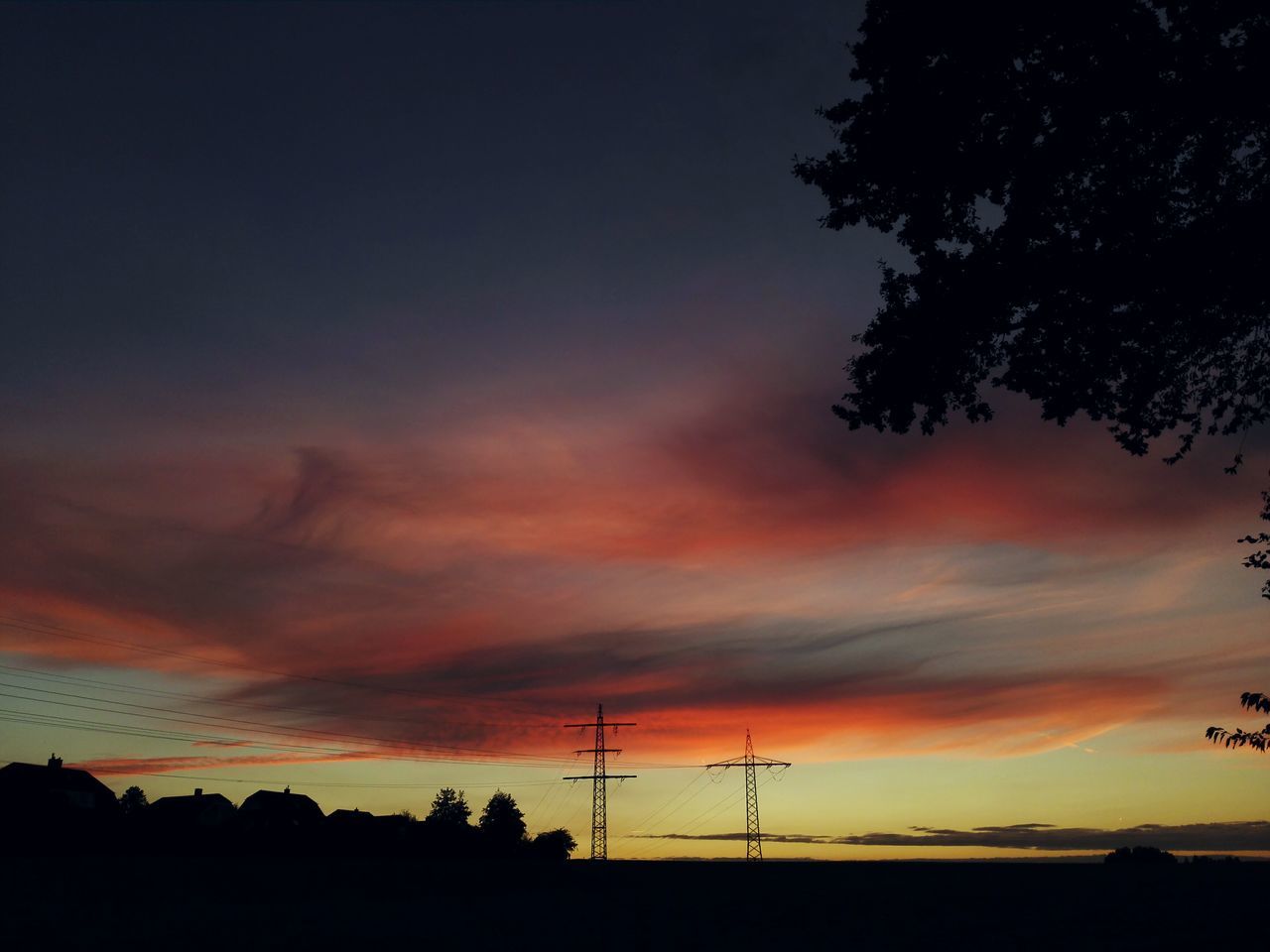 SILHOUETTE OF TREES AGAINST DRAMATIC SKY