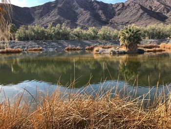 Scenic view of lake by mountains