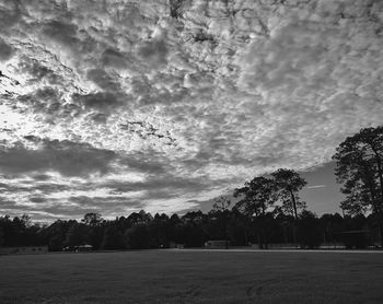 Trees on field against sky