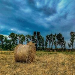 Hay bales on field against sky