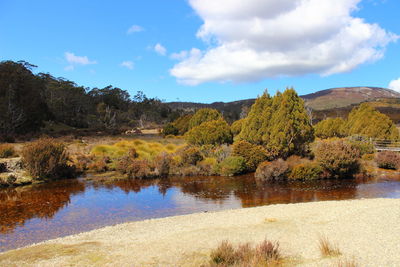 Scenic view of river by trees against sky