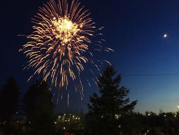 Low angle view of firework display at night