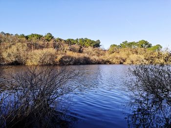 Scenic view of lake against clear blue sky