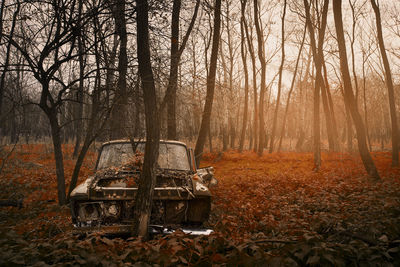 Tractor and trees during sunset