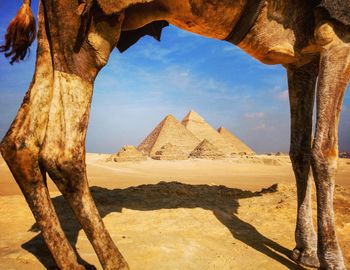 Scenic view of desert against sky