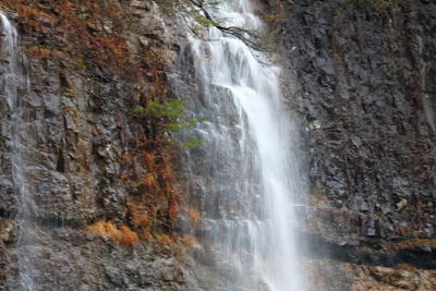 View of waterfall in forest