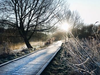 Bare trees by railroad tracks against clear sky