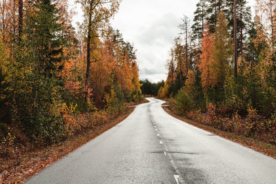 Road amidst trees against sky during autumn