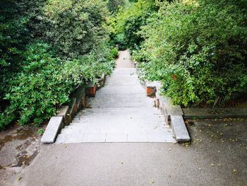 High angle view of footpath amidst trees