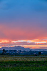 Scenic view of field against sky during sunset