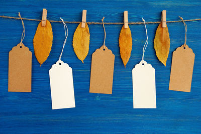 Close-up of clothespins hanging on rope against blue wall