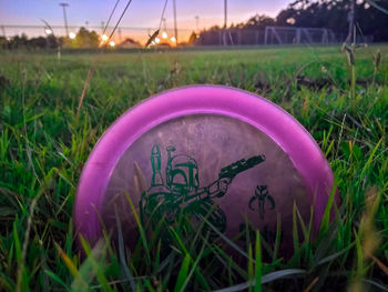 Close-up of fresh green grass in field