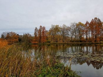 Reflection of trees in lake against sky