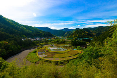 Scenic view of agricultural field against sky