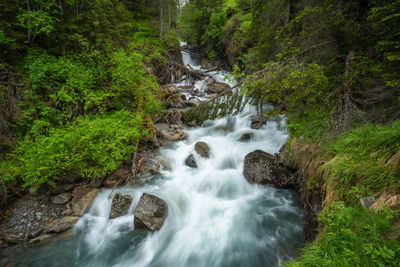 Stream flowing through rocks in forest