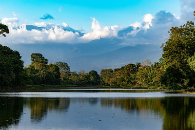 Scenic view of lake by trees against sky