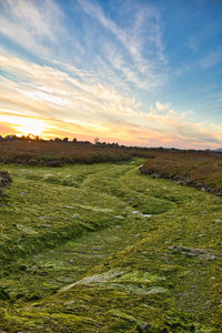 Scenic view of field against sky during sunset