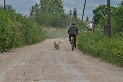 Rear view full length of person with dog riding bicycle on road