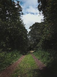 Road amidst trees in forest against sky