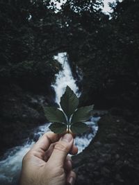 Close-up of person holding leaf against waterfall