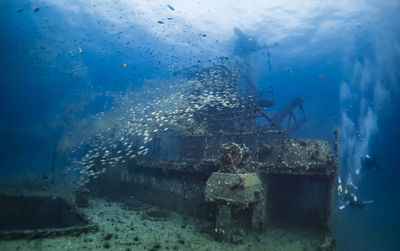 People swimming in sea