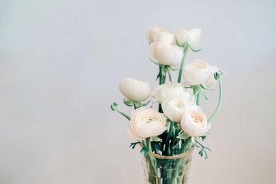 Close-up of white flowers