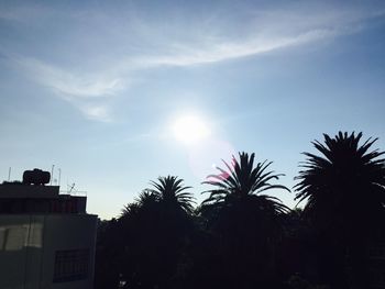 Low angle view of palm trees against blue sky