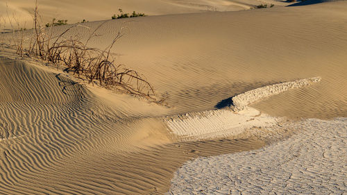 Footprints on sand at desert