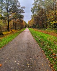 Road amidst trees during autumn