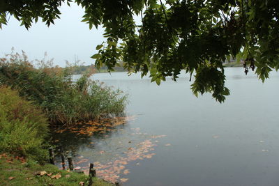 Scenic view of lake