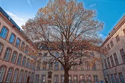 Low angle view of building against sky