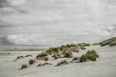 Scenic view of sandy beach against cloudy sky