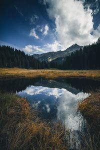 Scenic view of lake in forest against sky